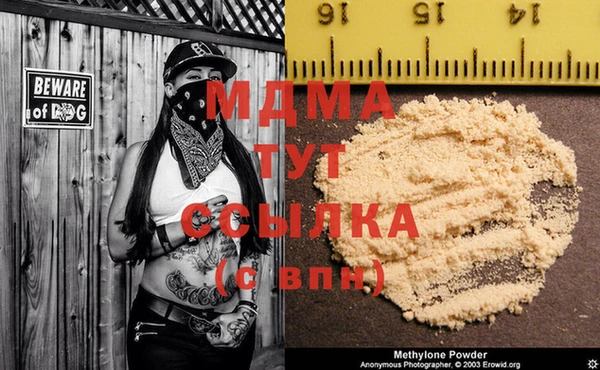 прущие грибы Михайловск